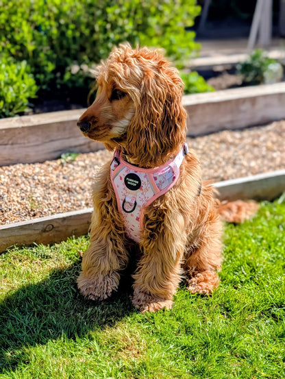Sweet Blossom 3-Clip Active Harness