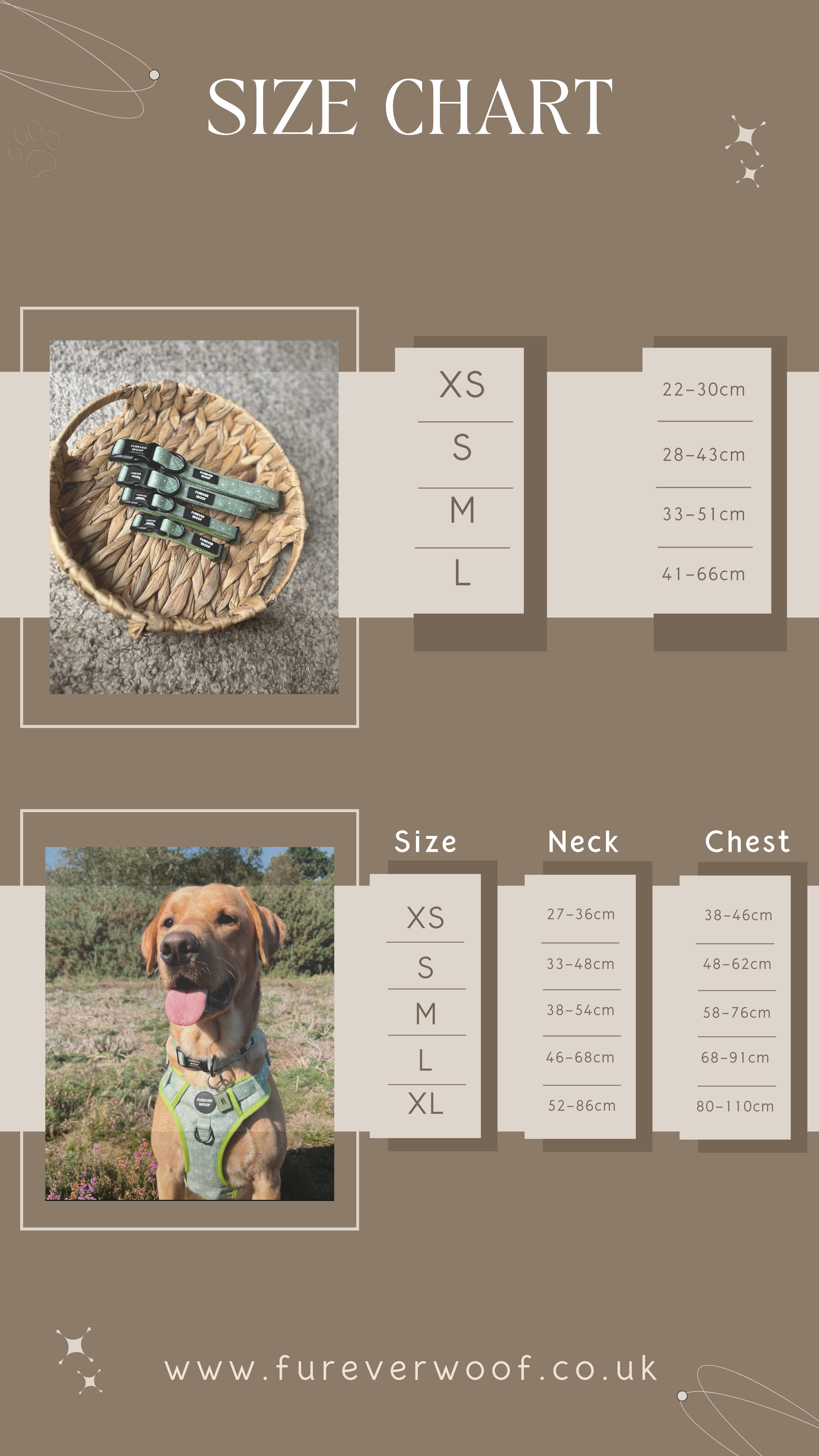 🌸 Forest Bloom Adventure Set