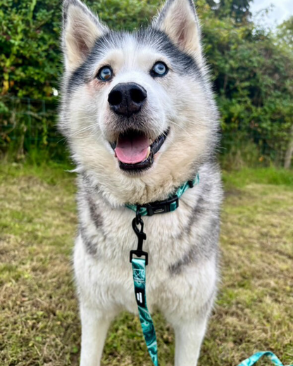 Emerald Swirl Collar