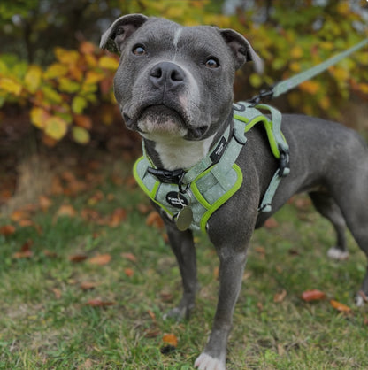 🌸 Forest Bloom Adventure Set